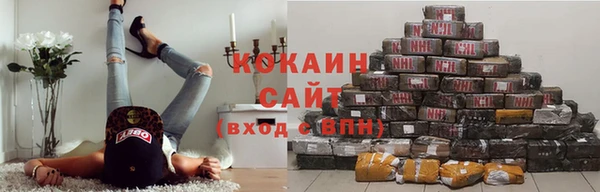 стаф Арсеньев