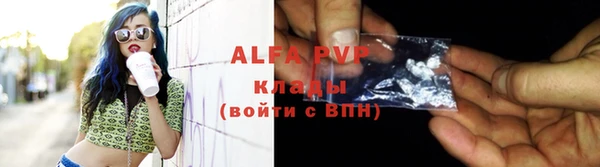 стаф Арсеньев