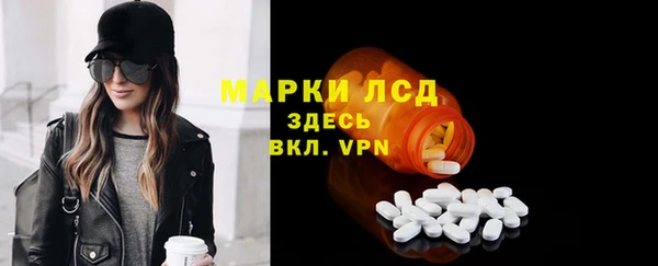 стаф Арсеньев