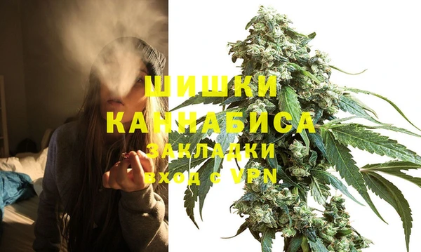 стаф Арсеньев