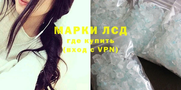 стаф Арсеньев