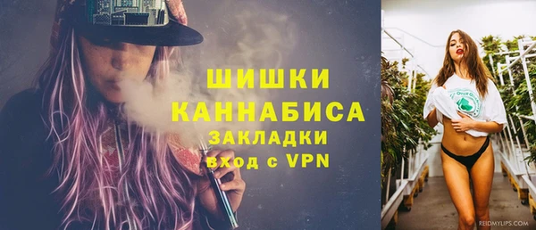 стаф Арсеньев