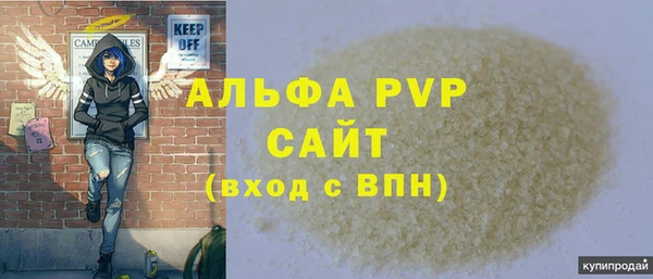 стаф Арсеньев