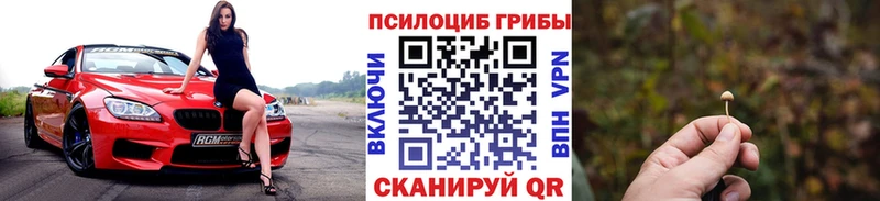 купить  цена  Грайворон  blacksprut онион  Галлюциногенные грибы GOLDEN TEACHER 
